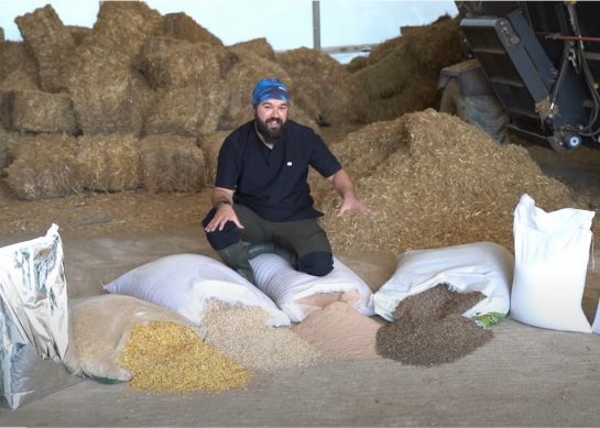 Hayvancılıkta Yem Giderlerini Düşürmek