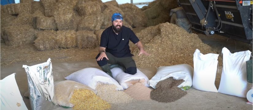 Hayvancılıkta Yem Giderlerini Düşürmek